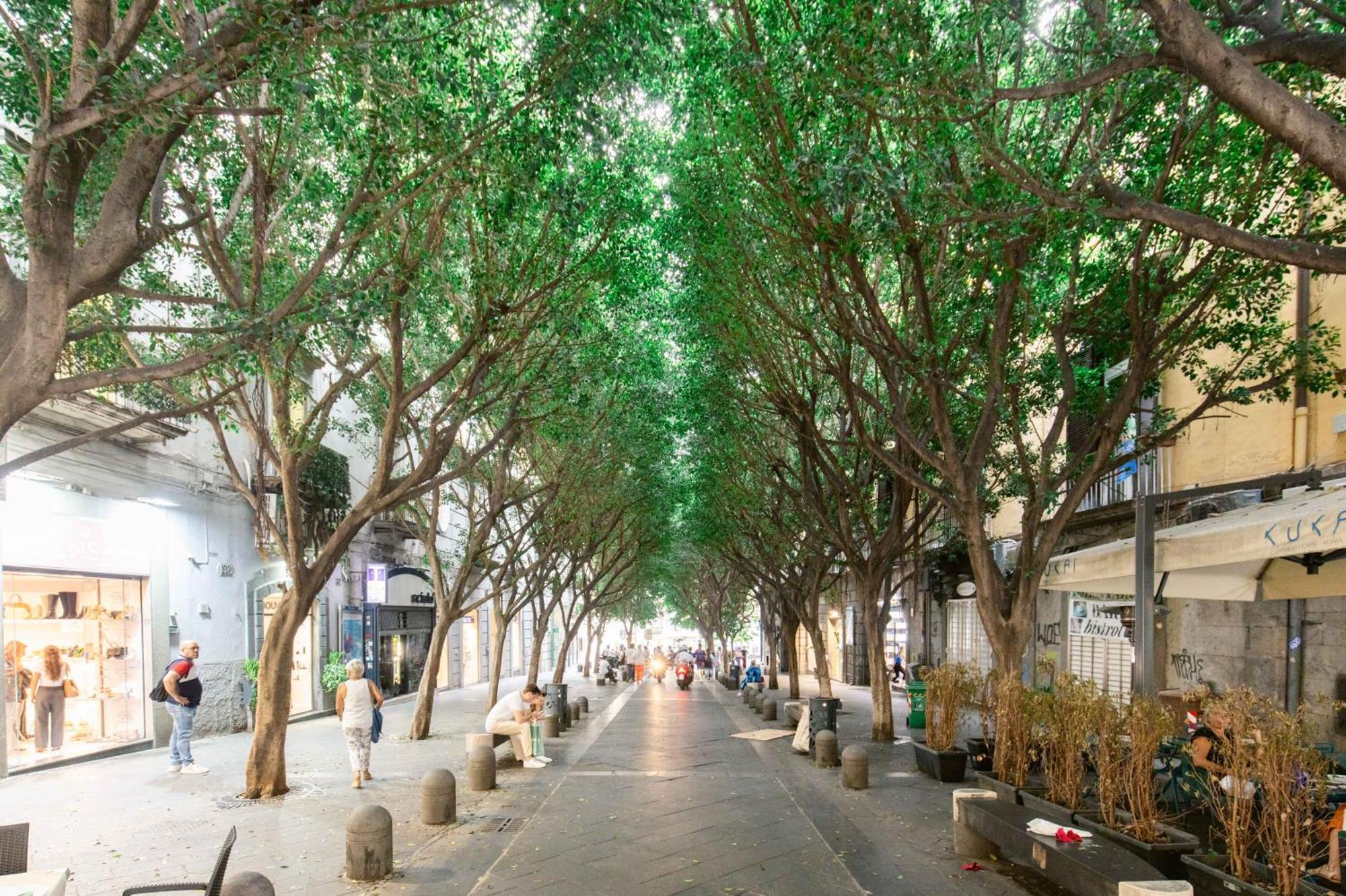 那不勒斯Calaba Chiaia公寓 外观 照片